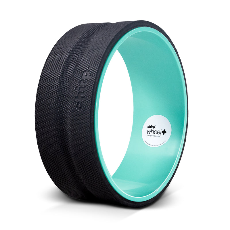 Best back foam roller