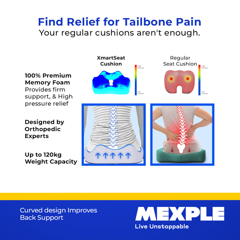 Best Orthopedic Cushion for Back & Tailbone Pain Relief